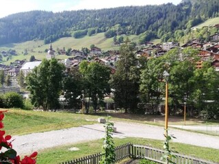 Appartement Le Grand-Bornand Omgeving 24