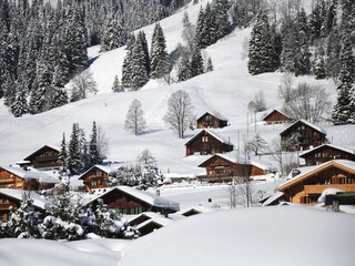 Apartment Le Grand-Bornand Environment 26