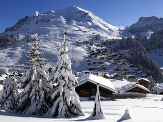 Appartement Le Grand-Bornand Environnement 25