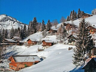Appartement Le Grand-Bornand Environnement 21
