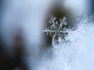 Appartamento Chamrousse  32