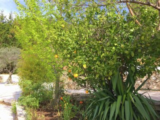 Holiday house Ampus Outdoor Recording 8