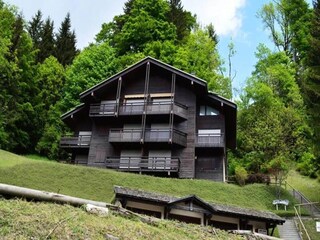 Appartement Le Grand-Bornand Buitenaudio-opname 31
