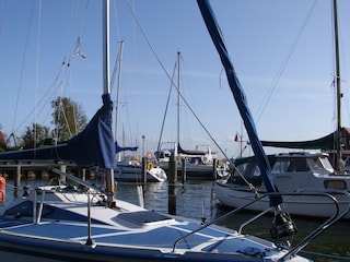 Vakantieappartement Born an der Darß Omgeving 22