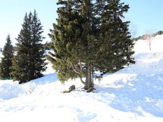 Appartamento Chamrousse Registrazione all'aperto 4