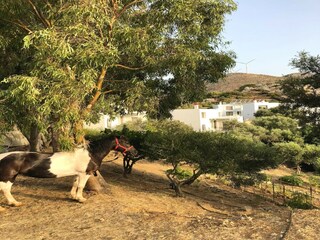 Villa Achlada Omgeving 27