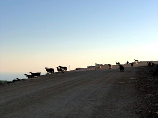 Villa Achlada Environnement 26