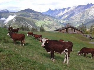 Apartamento La Clusaz Entorno 34