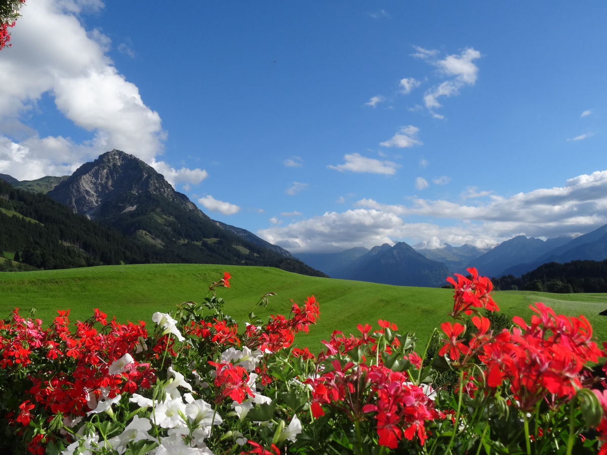 freier Bergblick von Ihrem Balkon