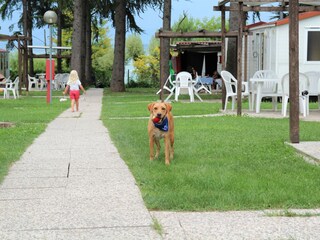 Vakantiepark Peschiera del Garda Buitenaudio-opname 4