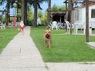 Vakantiepark Peschiera del Garda Buitenaudio-opname 16