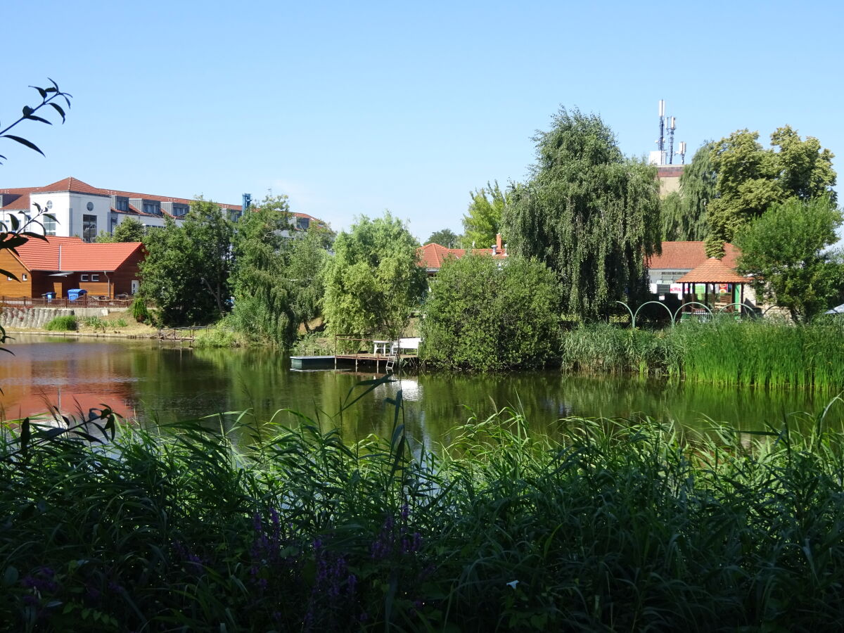 Aussicht auf "nicht unseren" Privatsee am Grundstück.