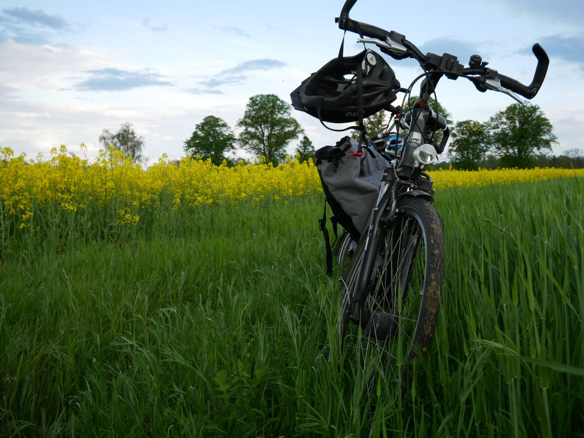 Ideal zum Fahrrad fahren.