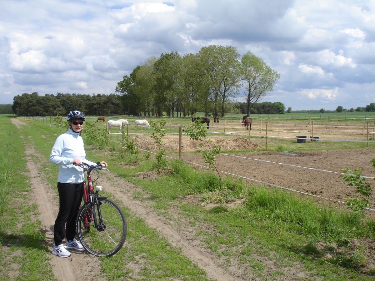 Fahrradwege überall...