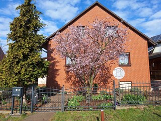 Holiday apartment Hoppegarten Outdoor Recording 2