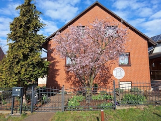 Ihre Wohnung im Obergeschoss.