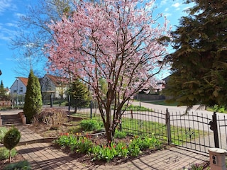 Herzlich willkommen...