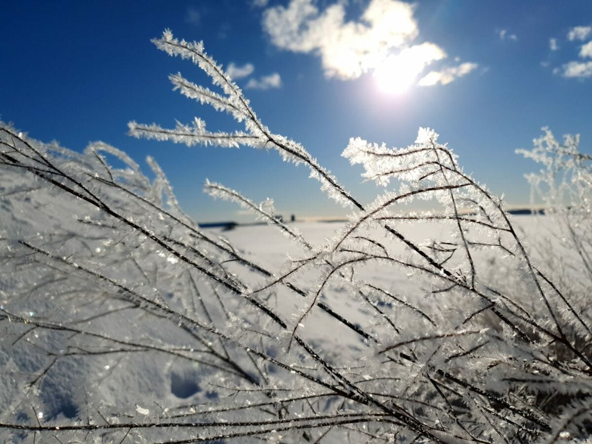 Winter am Schwielochsee