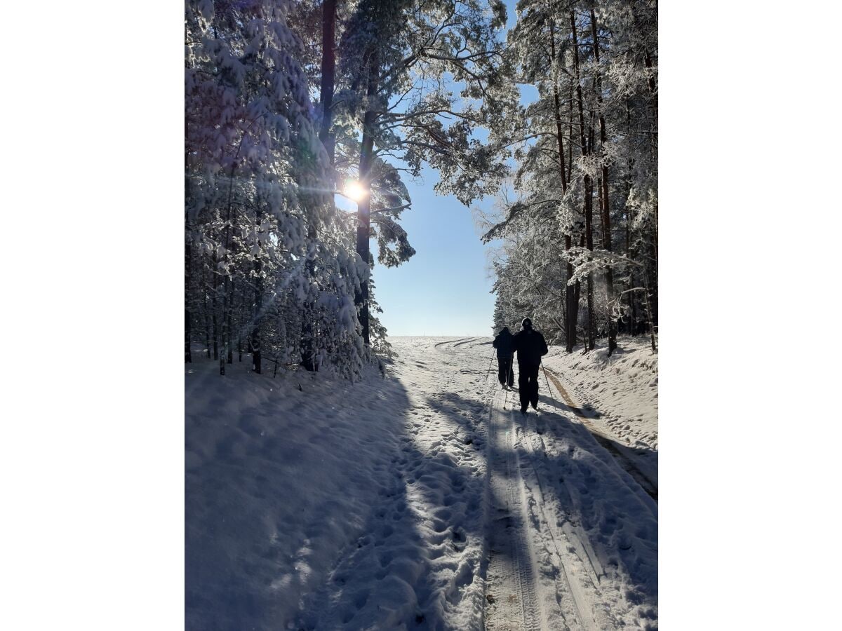 Skilanglauf