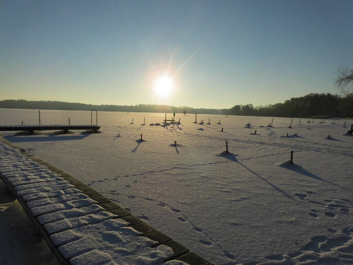 Blick über den zugefrorenen See 2016