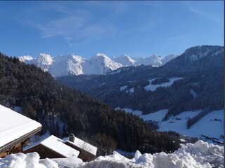 Apartment Le Grand-Bornand Umgebung 25
