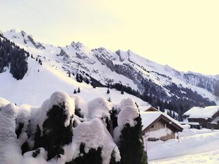 Apartment La Clusaz Features 25
