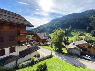 Apartment Le Grand-Bornand Features 14