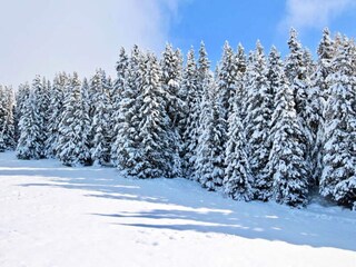 Apartamento Chamrousse Grabación al aire libre 9