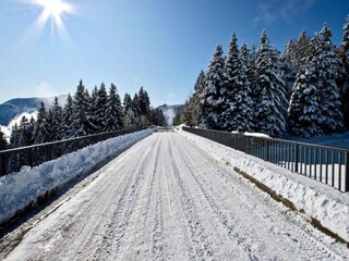 Appartement Chamrousse Buitenaudio-opname 13