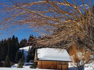 Apartment Le Grand-Bornand Umgebung 18