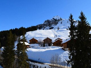 Appartement Le Grand-Bornand  36