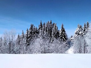 Appartamento Chamrousse Ambiente 32