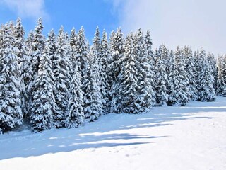 Appartamento Chamrousse Ambiente 33