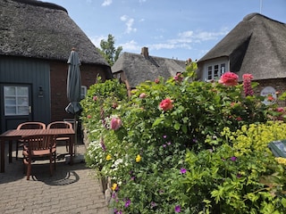 Ihr Plätzchen an der Sonne