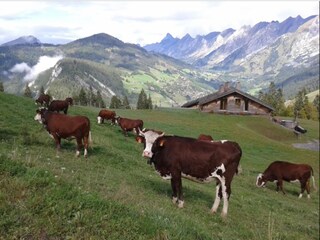 Appartement La Clusaz Buitenaudio-opname 28