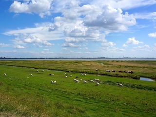 Blick vom Deich (vor dem Haus)