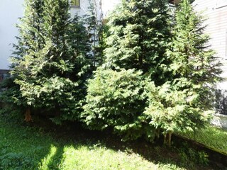 Appartement La Clusaz Équipement 18