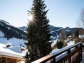 Apartamento La Clusaz  1