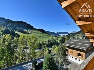 Apartment Le Grand-Bornand  21