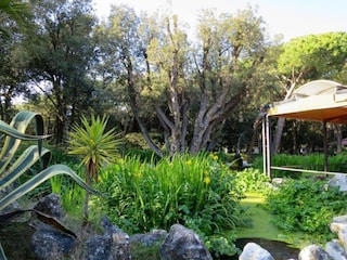 Parc de vacances Cellole  32