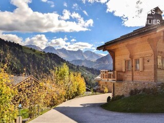 Apartment Le Grand-Bornand Outdoor Recording 5