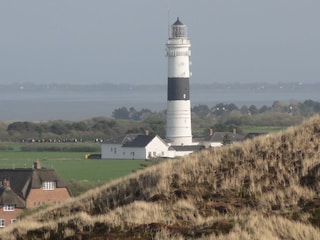 Leuchtturm und Dünen