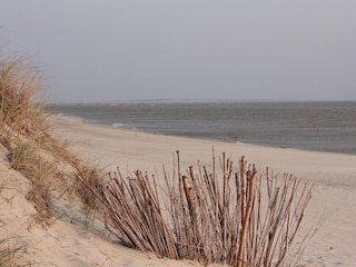 Strand und Meer