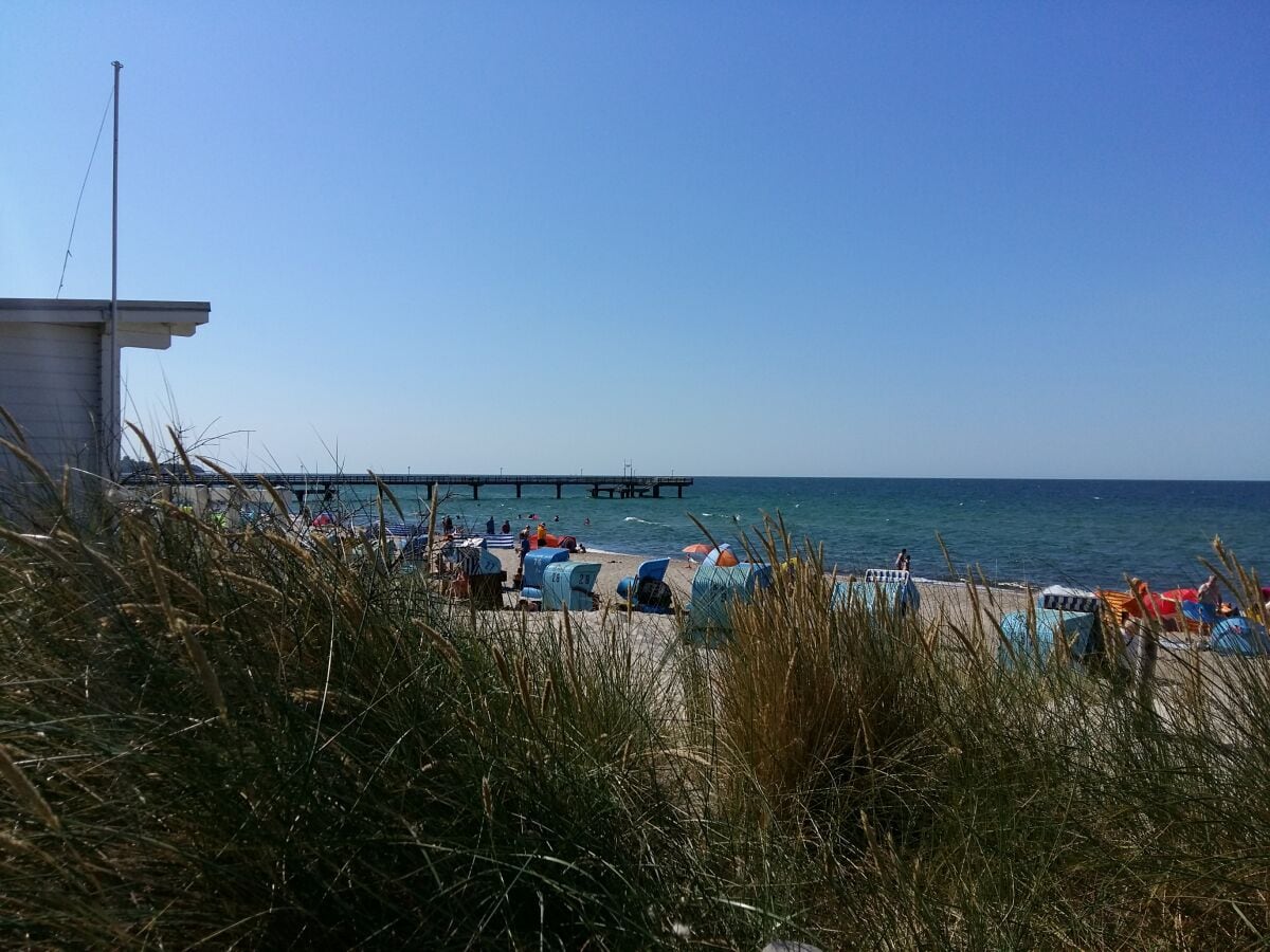 Strand mit Seebrücke in Rerik