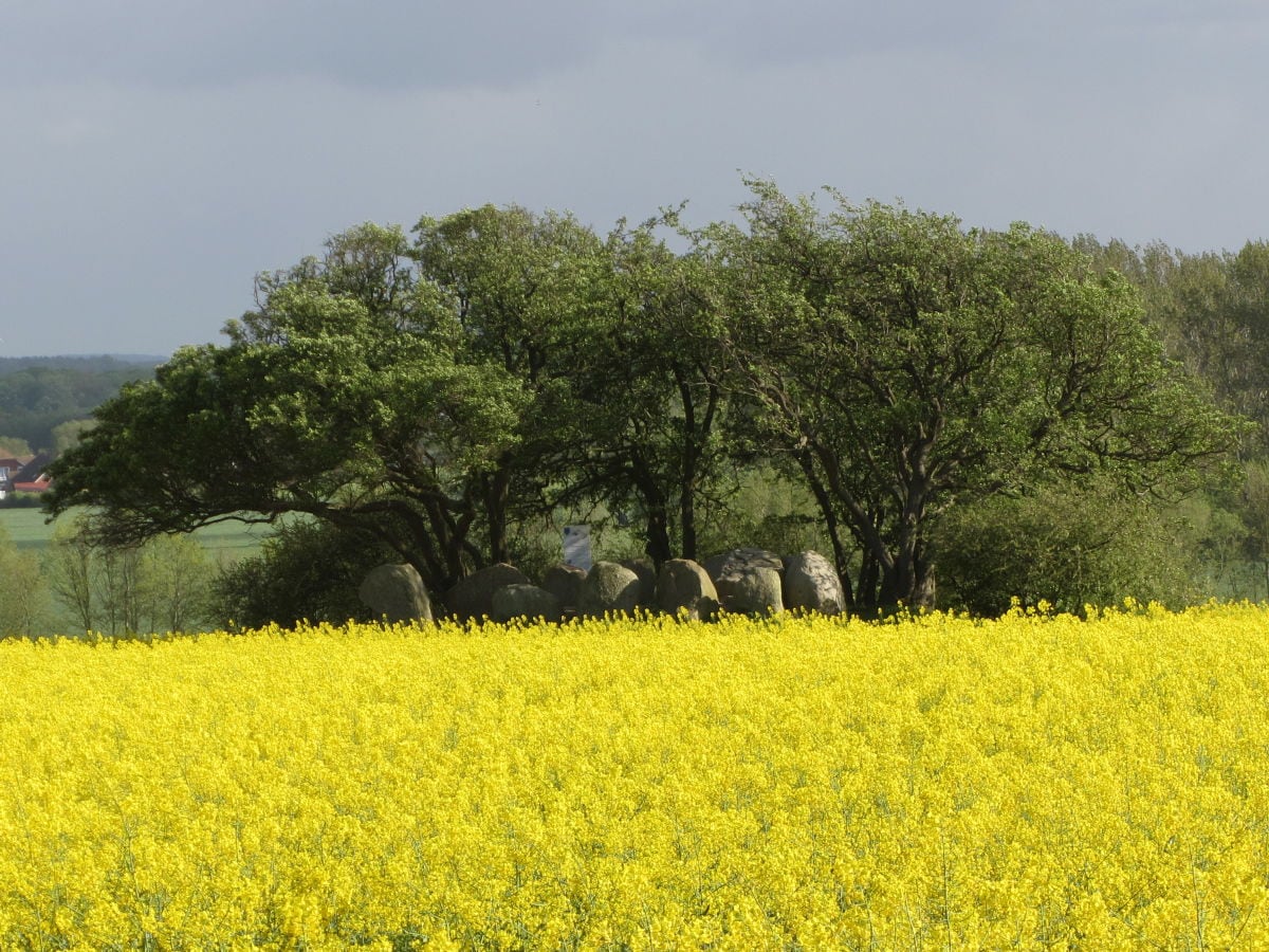 Frühling in Blengow (Großsteingräber)