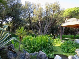 Vakantiepark Cellole  31