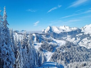 Appartement Morzine Environnement 28