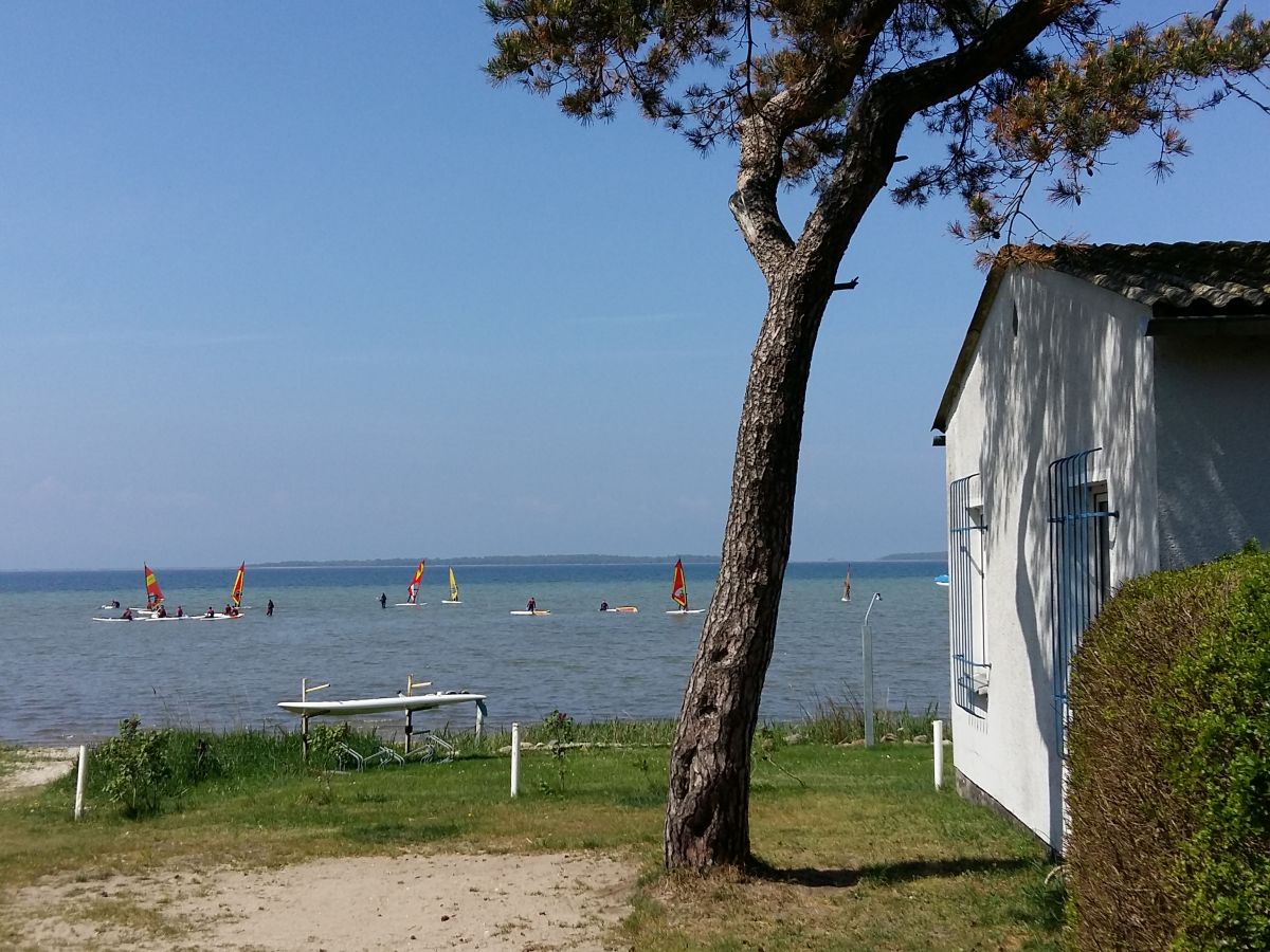 Surfer am Salzhaff