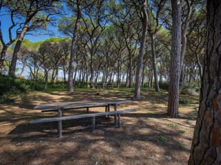 Parque de vacaciones Piombino Grabación al aire libre 12