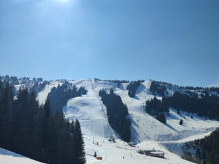 Appartement Morzine Environnement 33